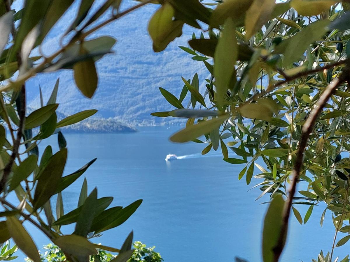 Casa Vacanze Perla Del Lago ドマーゾ エクステリア 写真